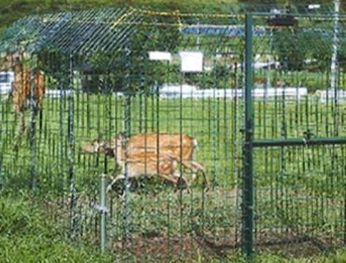 鳥獣被害対策
